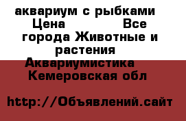 аквариум с рыбками › Цена ­ 15 000 - Все города Животные и растения » Аквариумистика   . Кемеровская обл.